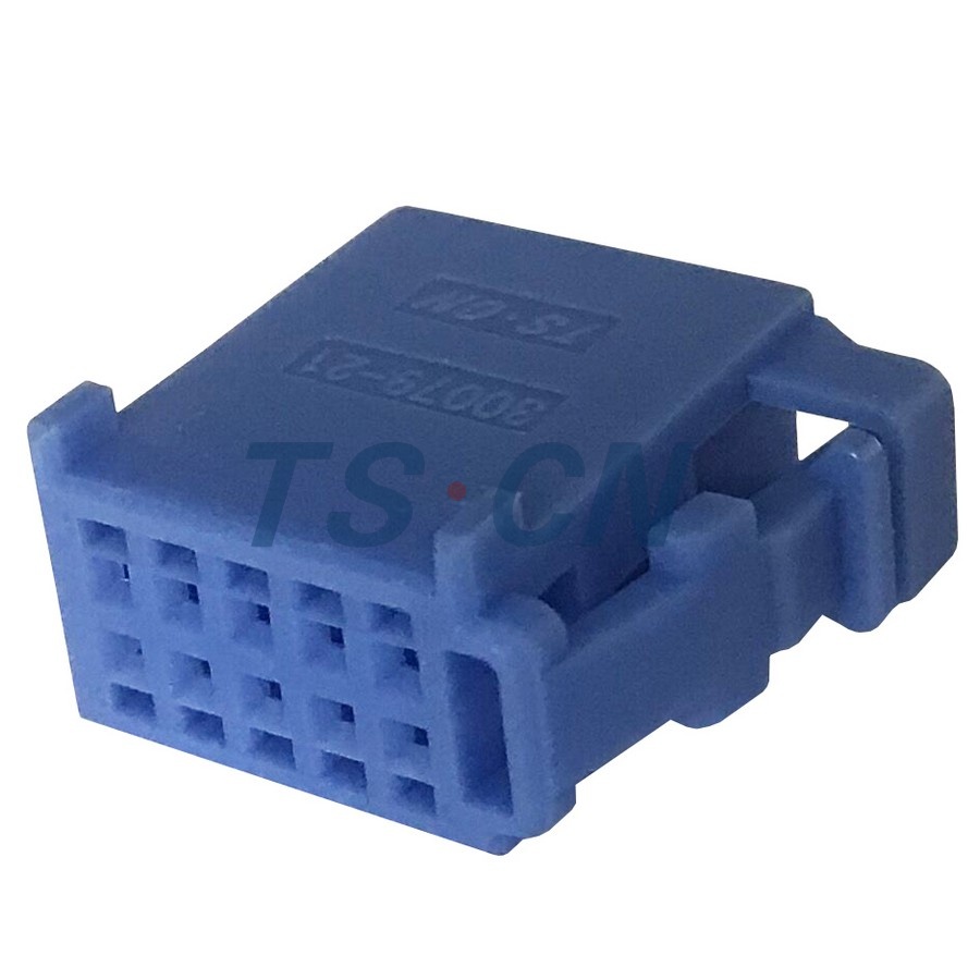 TS30079-10P-21BL