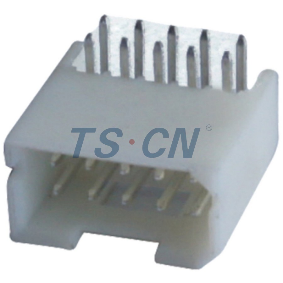TSCH10-10PM-PKB(10P-24P)