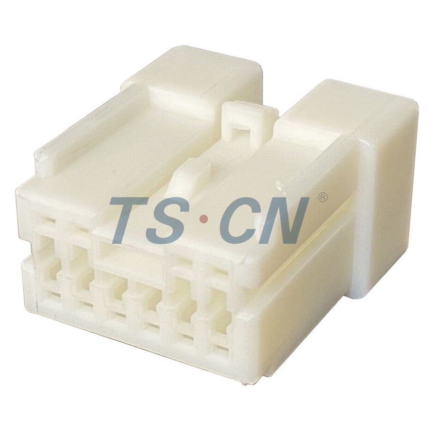 TSNI10-10P-21-1