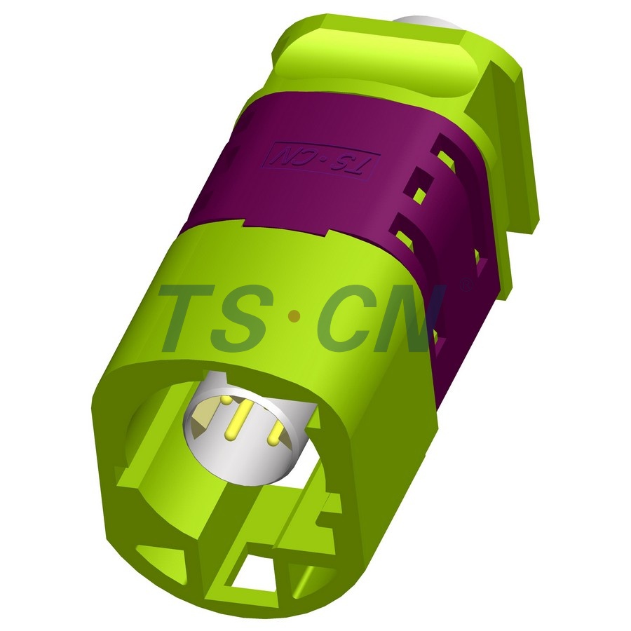 TSVW10-04PM-AT-5YG-1